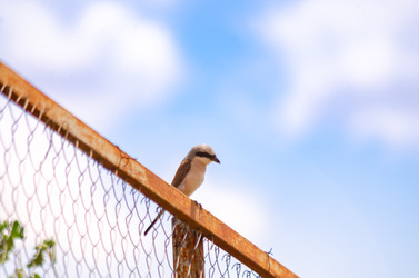 Similar image 22290147