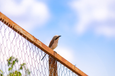 Similar image 22290148