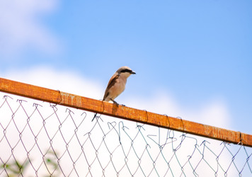 Similar image 22290149