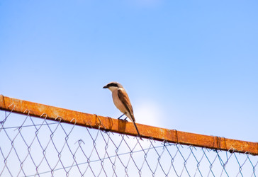 Similar image 22290150