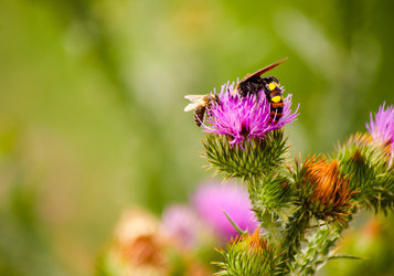 Similar image 22290151