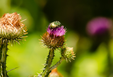 Similar image 22301577