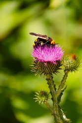 Similar image 22290152