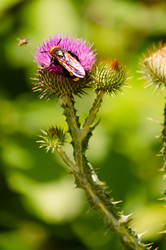 Similar image 22290153