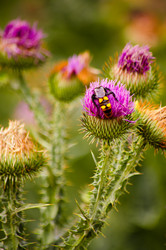 Similar image 22290154