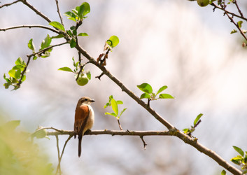 Similar image 22301578