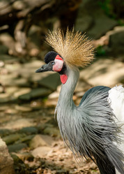 Similar image 22290156