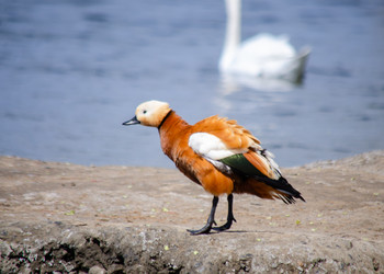 Similar image 22290157