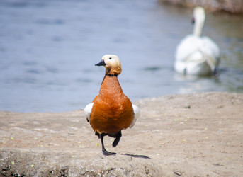 Similar image 22290159