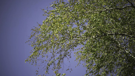 Similar image 22328204