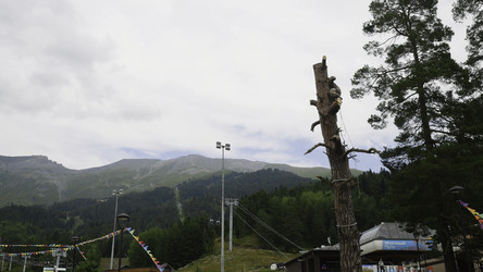 Similar image 22328873