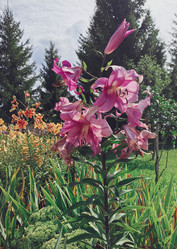 Similar image 22290163