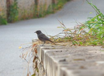 Similar image 22290166