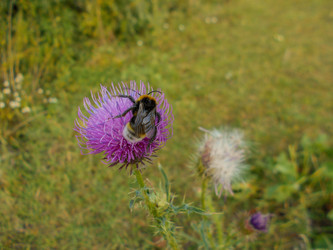 Similar image 22290175