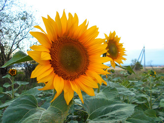 Similar image 22290176