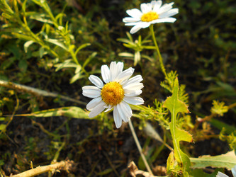 Similar image 22290177