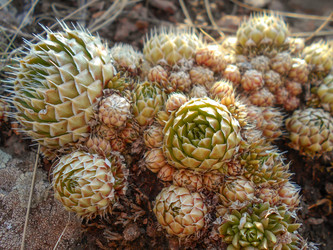 Similar image 22290179