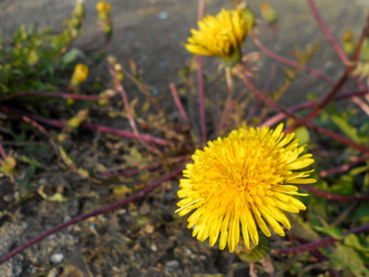 Similar image 22290181