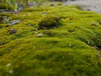 Similar image 22290182