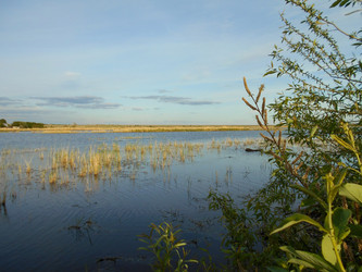 Similar image 22290183