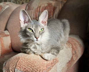 Similar image 22290185