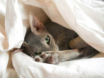 Similar image 22290186