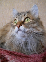 Similar image 22290187