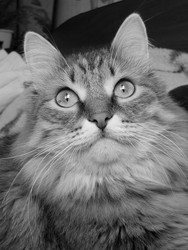 Similar image 22290188