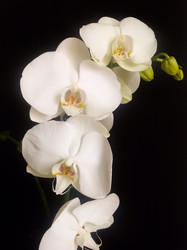 Similar image 22290189