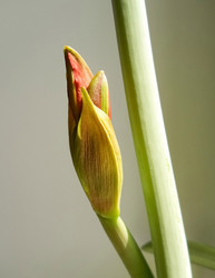 Similar image 22290191