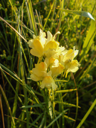 Similar image 22290192