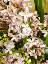 Similar image 22290193