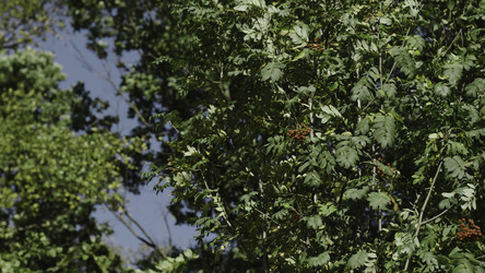 Similar image 22330919