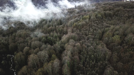 Similar image 22331251