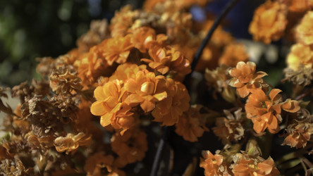 Similar image 22294051