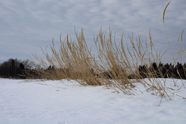 Similar image 22290652