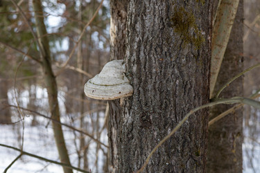 Similar image 22290653