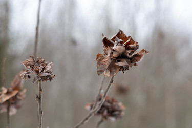 Similar image 22290655