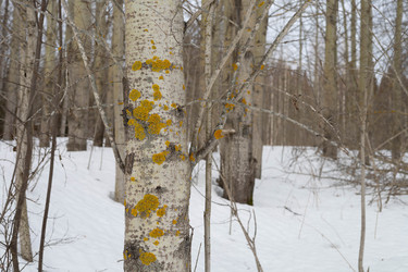 Similar image 22290656