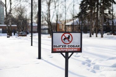 Similar image 22312688