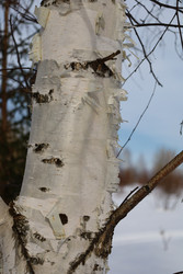 Similar image 22312689