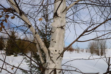 Similar image 22312690