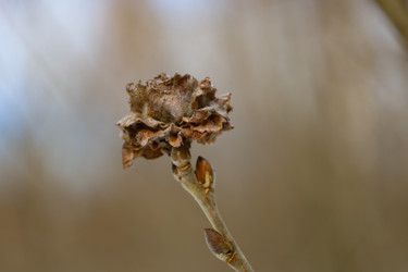 Similar image 22290659