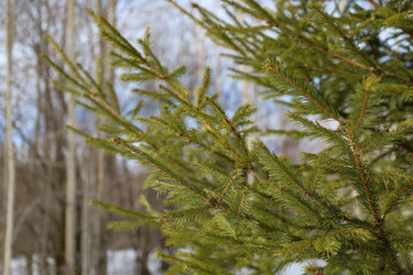 Similar image 22290660