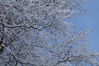 Similar image 22290661