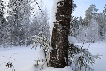 Similar image 22312691