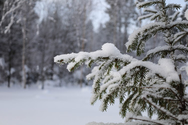 Similar image 22290662