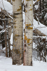 Similar image 22290663