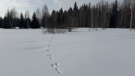 Similar image 22290667