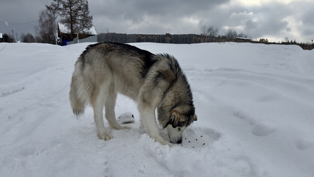 Similar image 22290669